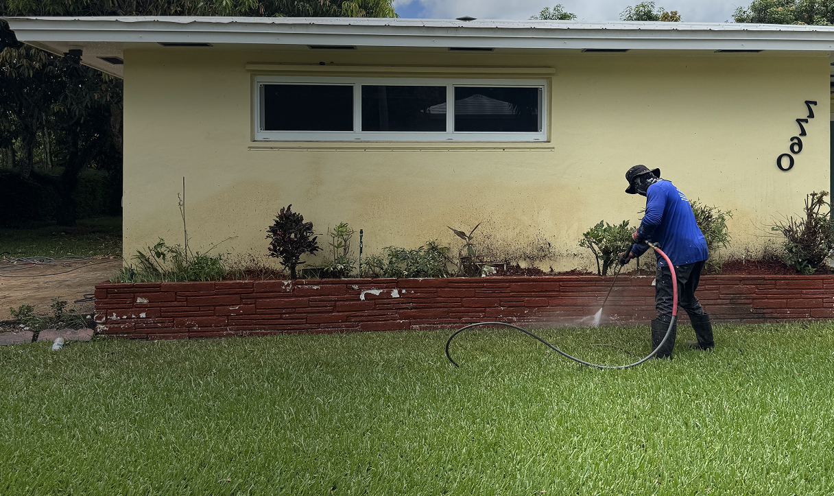 Professional window cleaning service