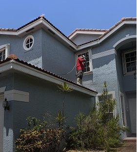 Professional cleaning